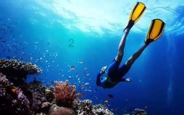 东莞证券发布贵州茅台“买入”评级报告，旗下长安分公司卖出逾560万股
